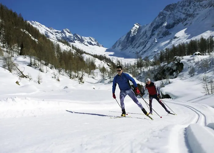 Han/Misafirhane Nest- Und Bietschhorn