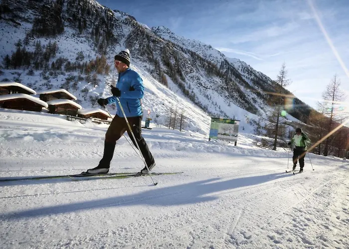 Nest- Und Bietschhorn Han/Misafirhane