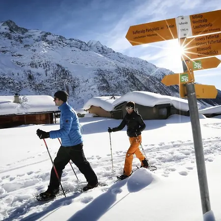 宾馆 Nest- Und Bietschhorn 3*