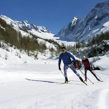 宾馆 Nest- Und Bietschhorn