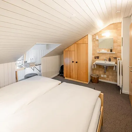 宾馆 Nest- Und Bietschhorn 3*