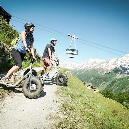 宾馆 Nest- Und Bietschhorn 3*